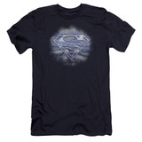 Superman Freedom Of Flight Premium Canvas Adult Slim Fit 30/1 T-Shirt Navy
