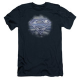 Superman Freedom Of Flight Adult 30/1 T-Shirt Navy