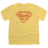 Superman Roughen Shield Youth T-Shirt Banana