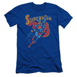 Superman Life Like Action Adult 30/1 T-Shirt Royal Blue