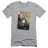 Harry Potter Top Of The Class Adult 30/1 T-Shirt Silver