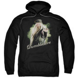 Harry Potter Dumbledore Wand Adult Pullover Hoodie Sweatshirt Black