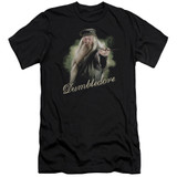 Harry Potter Dumbledore Wand Adult 30/1 T-Shirt Black