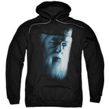 Harry Potter Dumbledore Face Adult Pullover Hoodie Sweatshirt Black