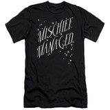 Harry Potter Mischief Managed 4 Premium Adult 30/1 T-Shirt Black