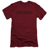 Harry Potter Expelliarmus Adult 30/1 T-Shirt Cardinal