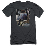 Harry Potter Trio Collage Adult 30/1 T-Shirt Charcoal