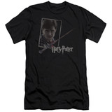 Harry Potter Harry's Wand Portrait Adult 30/1 T-Shirt Black