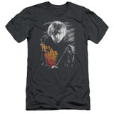 Harry Potter Ron Portrait Adult 30/1 T-Shirt Charcoal