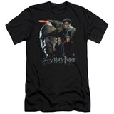 Harry Potter Final Fight Premium Adult 30/1 T-Shirt Black