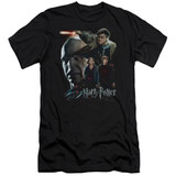 Harry Potter Final Fight Adult 30/1 T-Shirt Black