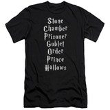 Harry Potter Titles Premium Adult 30/1 T-Shirt Black
