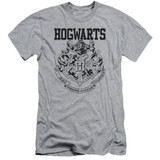 Harry Potter Hogwarts Athletic Premium Adult 30/1 T-Shirt Athletic Heather