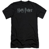 Harry Potter Logo Adult 30/1 T-Shirt Black