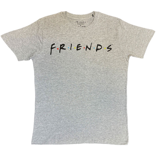 Friends Unisex T-Shirt Logo (Grey)