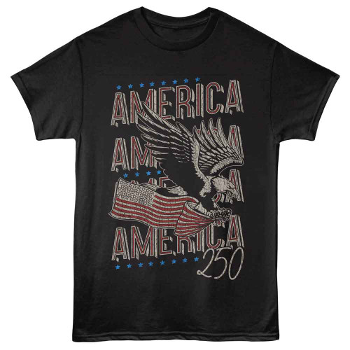 USA Collection Eagle 250 Black T-Shirt