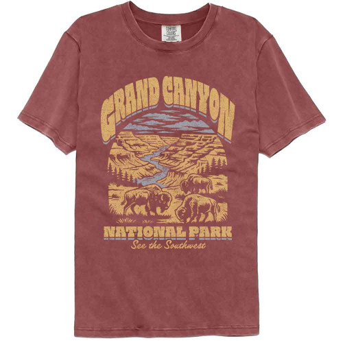 National Parks Canyon See The Southwest Brick Comfort Colors T-Shirt