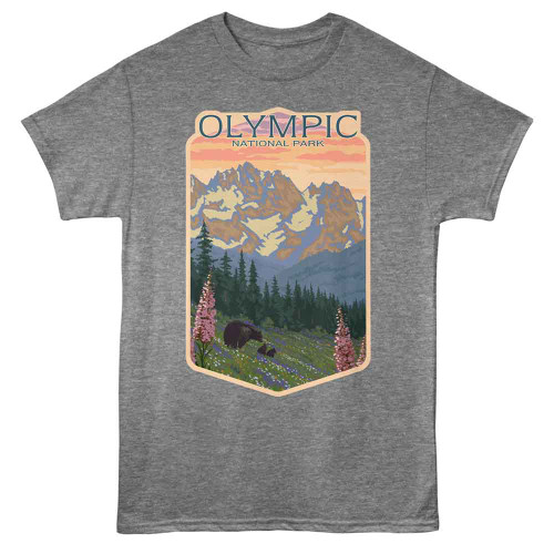 National Parks Olympic Contour Graphite Heather T-Shirt