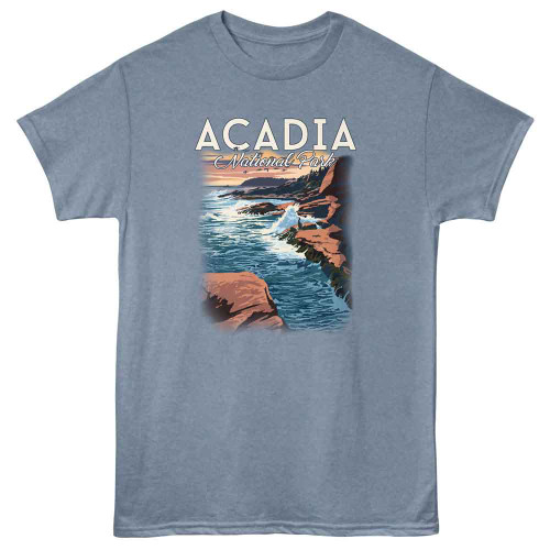 National Parks Acadia Np Indigo Heather T-Shirt
