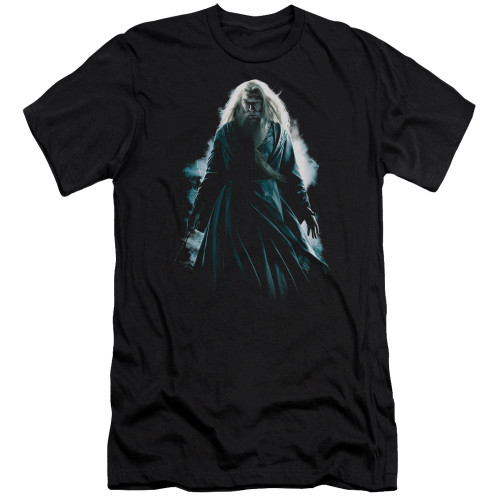 Harry Potter Dumbledore Burst Premium Adult 30/1 T-Shirt Black