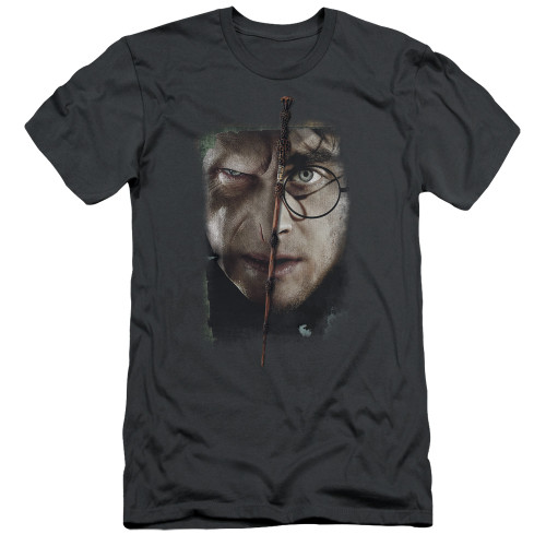 Harry Potter It All Ends Here Adult 30/1 T-Shirt Charcoal