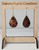 Rectangles -Walnut -Trees