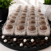 Rows of individually boxed milk chocolate hot cocoa bombs with elegant white chocolate drizzle arranged in premium clear gift boxes with white paper shred, showcasing Bomb Confections' luxury packaging for weddings, corporate gifts, and event favor