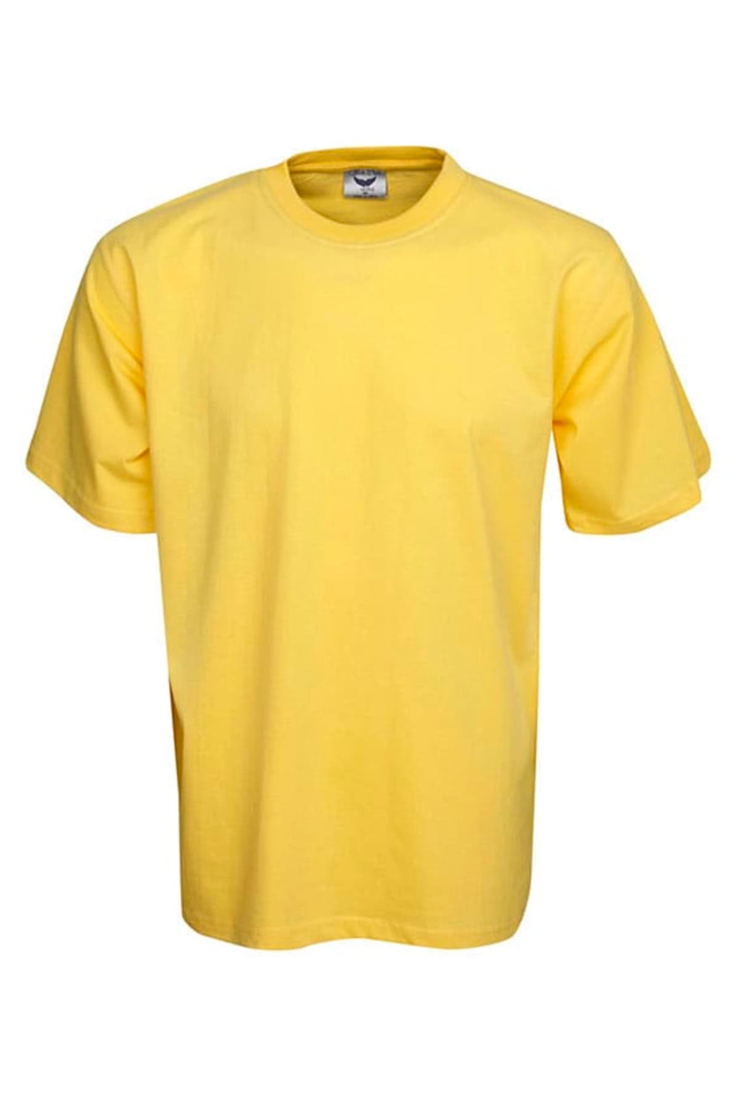 Premium Pre-Shrunk Cotton T-Shirt