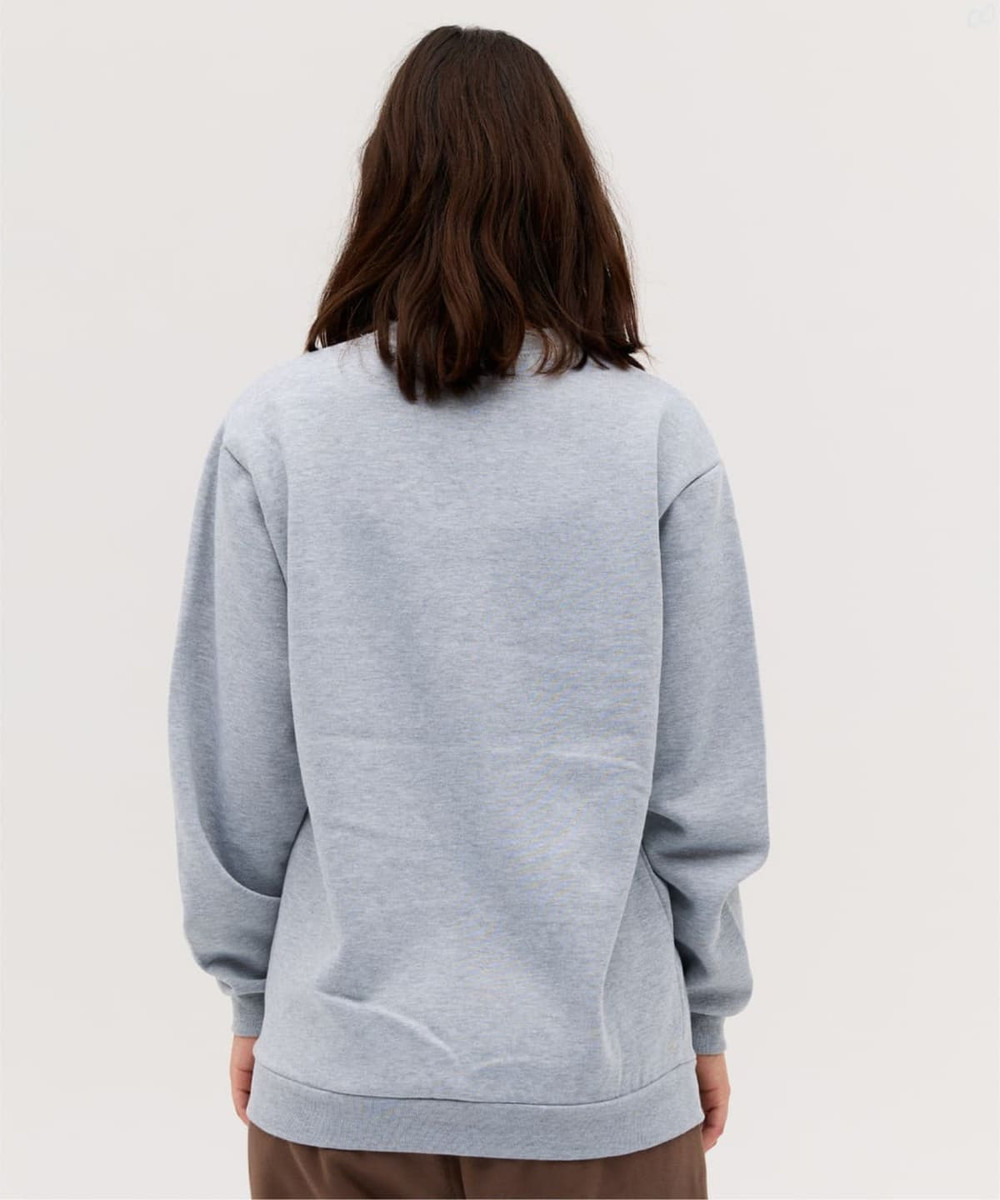 A grey hoodie with a loose fit, featuring a simple design and long sleeves. The back view is displayed.