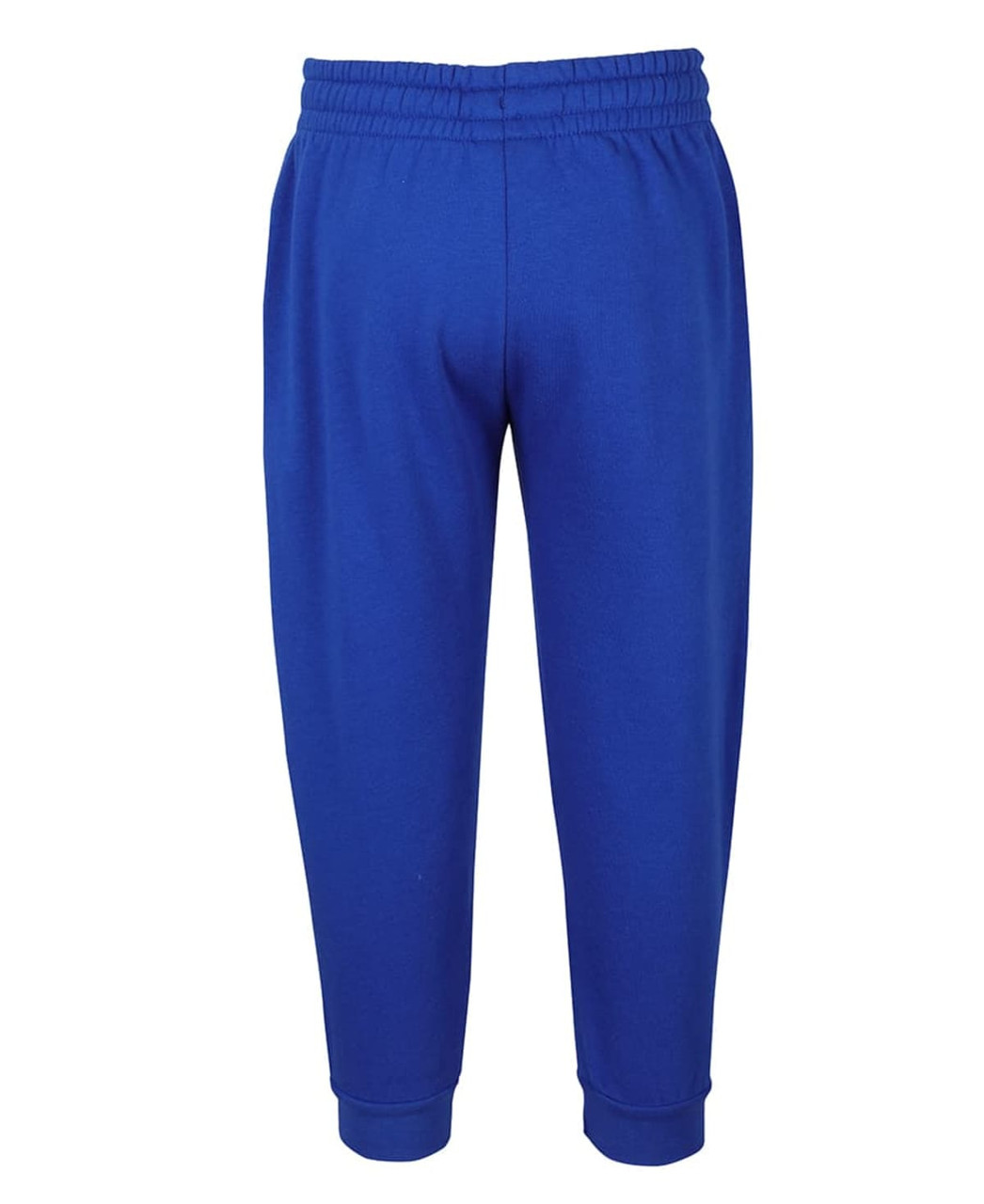 Blue track pants featuring an elastic waistband and cuffed ankles. The product has a logo on it.