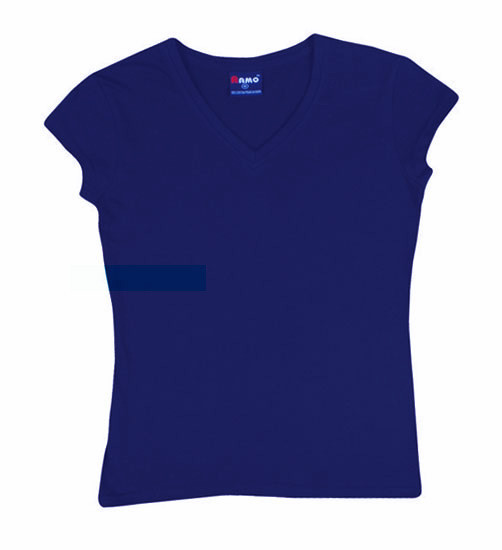 Women's V Neck T-Shirt
