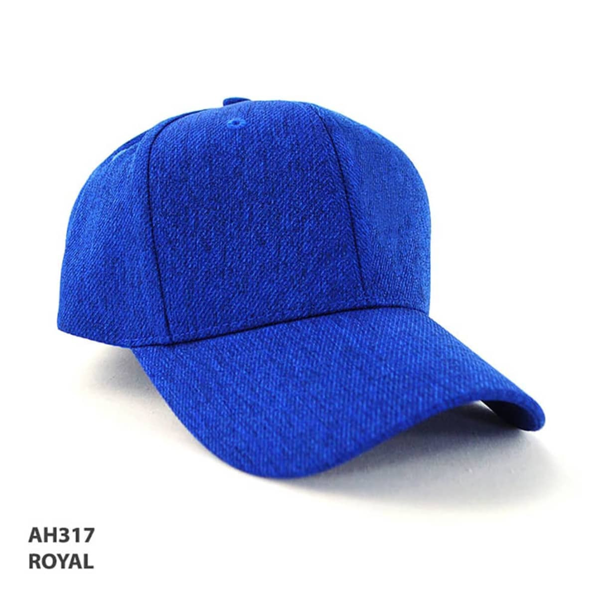 A royal blue cap with a structured design and a flat peak, featuring a logo on the front.