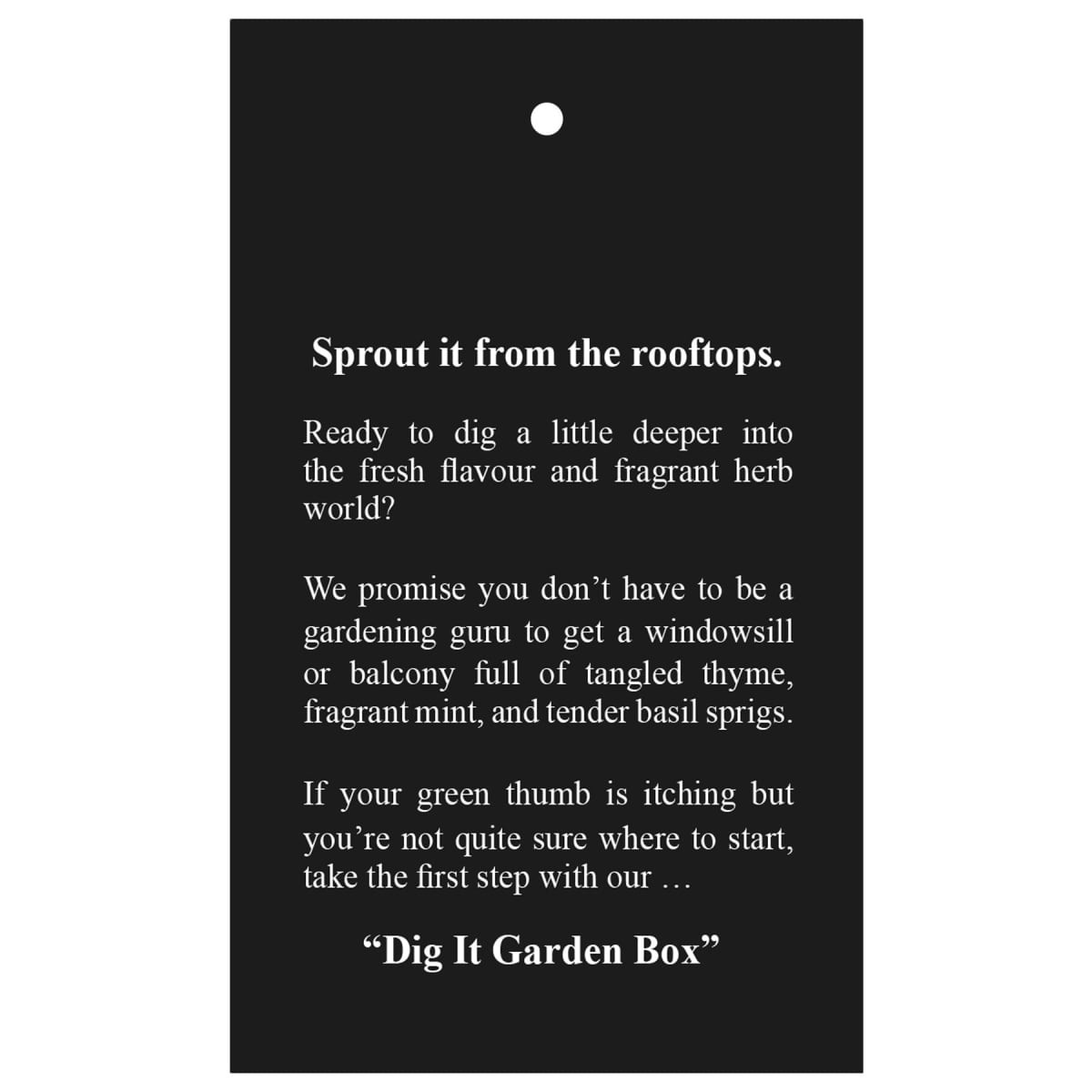 A promotional image featuring the "Dig It Garden Box," with a black background and text about gardening and herbs.