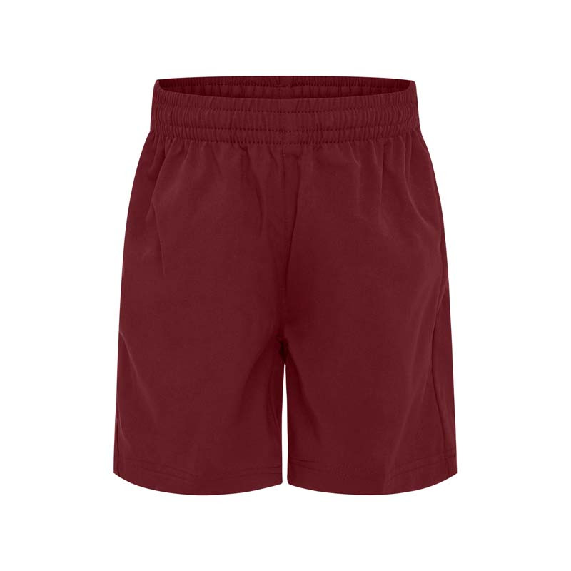 Stretch Microfibre Shorts