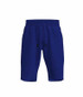 Terry Fleece Track Shorts