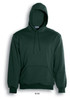 A unisex adult pullover hoodie in bottle green with a front pocket and hood. Features a logo.