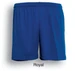 Royal blue unisex sports shorts with an elastic waistband and a small logo on the side.