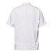 Chefscraft- EXEC CHEF JACKET LIGHT-SS