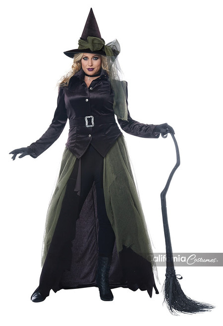 Plus Size Gothic Witch Costume