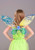 Tinker Bell Wings Tinker Bell Wings
