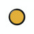 CL-6 Goldenrod CL-6 Goldenrod