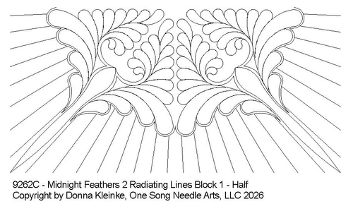 Midnight Feathers 2 Rad Lines Block 1 Half - 9262C