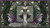 Majestic Sapphire Radiating Lines Frame 1 - 9264E