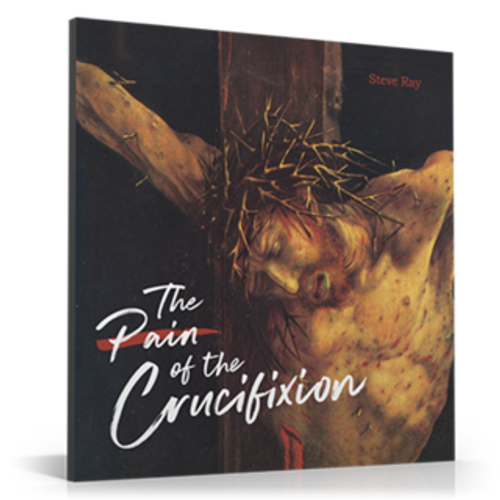 The Pain of the Crucifixion