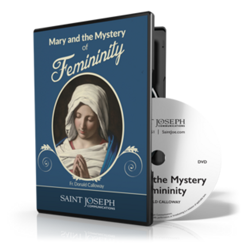 Mary and The Mystery of Femininity