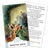 St. Andrew Novena Prayer Cards