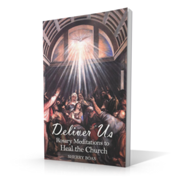Deliver Us: Rosary Meditations to heal the Church