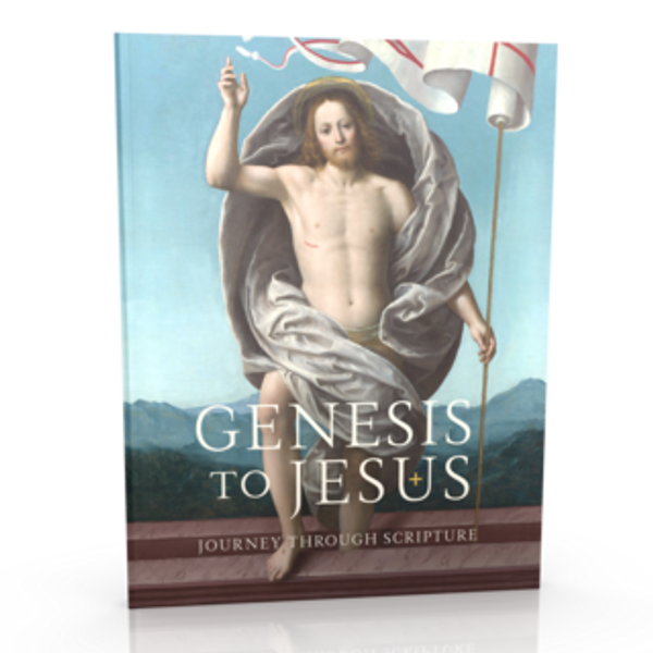 Genesis to Jesus Participant Workbook