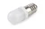 Alpinetech E10 12V 24V 120V 220V AC/DC LED 9mm Screw Base Replacement Bulb or SMD lights (Pack of 2)