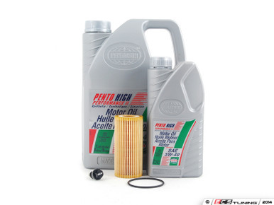 Oil Service Kit - With ECS Magnetic Drain Plug | ES2749060